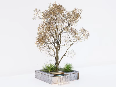 Elegant Plant Combination With Deciduous Tree And Green Grasses In Stone Planter 3d model