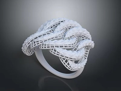 3D Printed White Intricate Woven Lattice Design Ring Daily Life Accessory 3d model