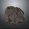 Natural Wood Stone With Rough Surface And Intricate Organic Textural Patterns