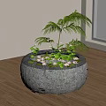 Round Stone Aquarium Fish Tank With Green Aquatic Plants On Wooden Floor By Window