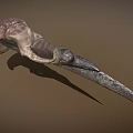 Unique Fantasy Weapon With Textured Bone Handle And Sharp Metal Blade 3d model