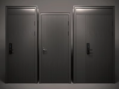 Three Dark Grey Security Doors With Different Textures And Lock Designs 3d model