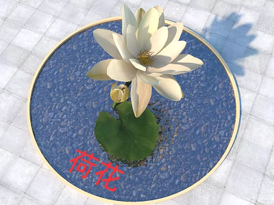 White Lotus Flower With Open Petals Yellow Stamen And Green Leaf On Circular Blue Background 3d model