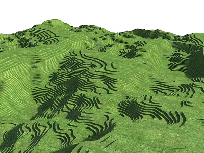 Lush Green Terraced Fields With Wavy Patterns On Mountainous Landscape View 3d model