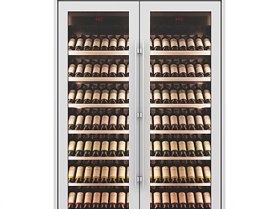 Modern Double Door Wine Cooler With Glass Door And Bottles Storage 3d model