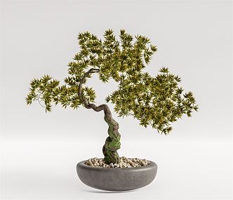 Modern Bonsai 3d model