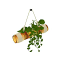 Lush Green Plant In Golden Hanging Planter With Rope And Trailing Leaves