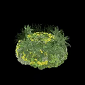 Decorative Round Botanical Chandelier Adorned With Green Plants And Yellow Accents