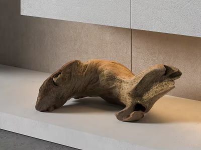 Natural Form Wooden Sculpture Displayed On White Platform Against Light Wall 3d model