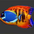 Colorful Tropical Fish With Bright Yellow Blue And Red Patterns On Shiny Surface