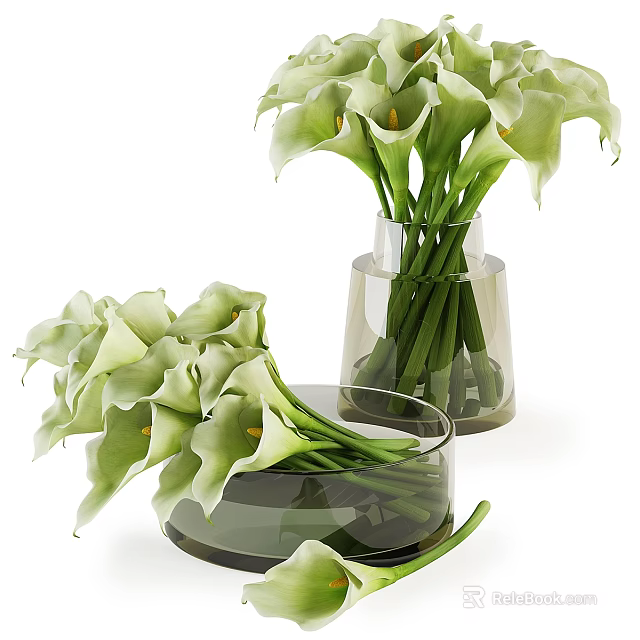 Fresh Green Calla Lilies Arranged In Transparent Glass Vases For Home Decor 3d model 