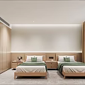 Hotel Room Interior with Twin Beds Green Pillows Wooden Wardrobes Bedside Tables and Window Curtains