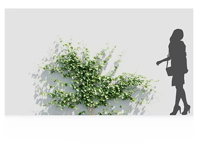 Lush Green Leafy Shrub With Woman Silhouette Spraying On White Wall With Sunlight Shadows 3d model