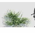Lush Green Leafy Shrub With Woman Silhouette Spraying On White Wall With Sunlight Shadows
