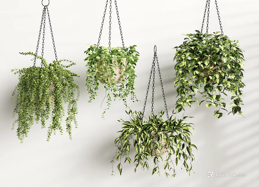 Lush Green Hanging Basket Plants with Trailing Leaves and Healthy Foliage 3d model 
