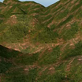 Scenic Garden Landscape With Lush Green Hills Natural Rolling Terrains And Vibrant Vegetation