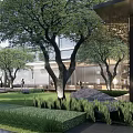 Modern Residential Landscape Design With Green Trees Lawn And Outdoor Courtyard Area