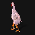 Featherless Chicken With Red Comb And Yellow Feet On Black Background
