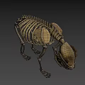 Detailed Anatomical Bear Skeleton 3D Model with Bone Structure