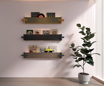Magazines, Books, Records, Bookshelves 3d model