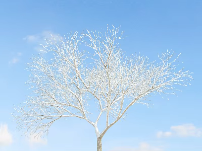 Snow Covered Arbor Tree With Bare Branches Against Blue Sky And White Clouds 3d model
