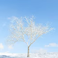 Snow Covered Arbor Tree With Bare Branches Against Blue Sky And White Clouds 3d model