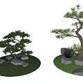 Various Forms Of Bonsai Arbor Trees With Decorative Stones And Green Grass