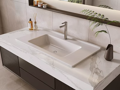 Modern Bathroom Vanity White Sink with Marble Countertop Mirror Plant Bottles Dark Cabinets Design 3d model
