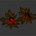 Vibrant Flowering Plants With Red Blooms And Variegated Leaves On Gray Background