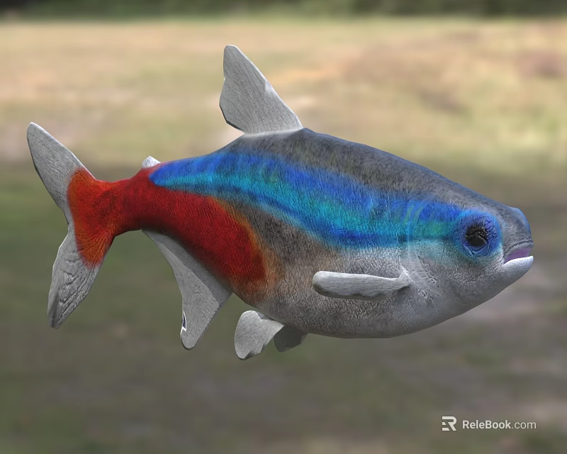 Colorful Aquatic Fish with Blue Red Silver Vibrant Body and Shiny Scales in Natural Habitat 3d model 