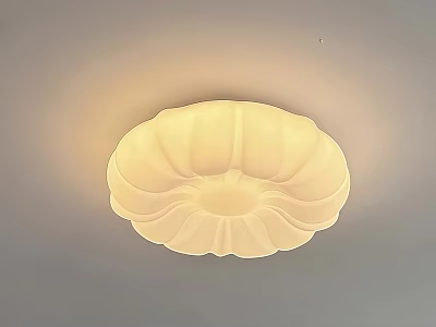 Modern Round Ceiling Light With Petal Design And Soft Illumination 3d model