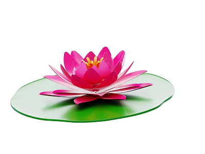 Pink Water Lily Flower With Vibrant Pink Petals On Green Lily Pad 3d model