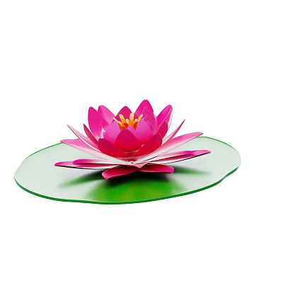Pink Water Lily Flower With Vibrant Pink Petals On Green Lily Pad 3d model