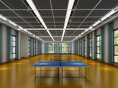 Modern table tennis room 3d model