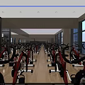 Modern Gym Workout Space With Rows Of Spin Bikes Large Windows And Bright Interior
