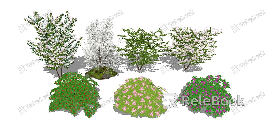 Modern Shrub Shrubs Flower Tree model