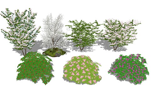 Modern Shrubs Flower Tree 3d model