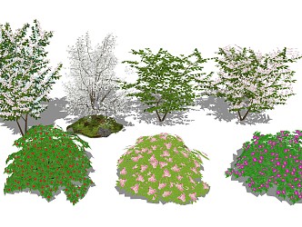 Modern Shrubs Flower Tree 3d model