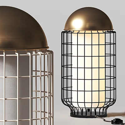 Industrial Metal Table Lamp With Brass Dome Top And Wire Cage Structure Design 3d model