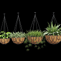 Modern hanging basket plant hanging basket 3d model