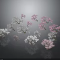 Multiple Pink and White Trees Arranged on Dark Background With Reflective Surfaces