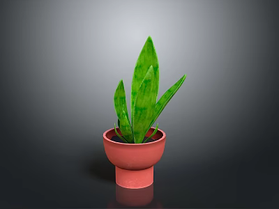 Indoor Green Plant with Striped Long Leaves in Red Terracotta Pot for Home Decor 3d model