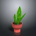 Indoor Green Plant with Striped Long Leaves in Red Terracotta Pot for Home Decor