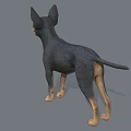 Black and Tan Dog With Erect Ears Standing In 3D Render Against Gray Background