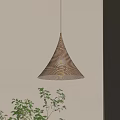 Conical Textured Pendant Light With Round Illuminated Bulb Against Light Colored Wall And Green Plants