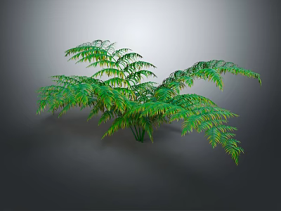 Green Fern Plant With Lush Fresh Leaves For Indoor Home Decor Natural Greenery 3d model