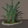 Banana Tree With Large Green Leaves And Small Plants For Indoor Decoration
