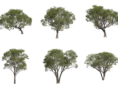 Various Arbor Trees With Different Growth Shapes And Lush Green Foliage 3d model