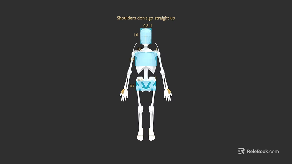 Human Anatomical Limb Structure With Shoulder Posture Not Straight Up 3d model 