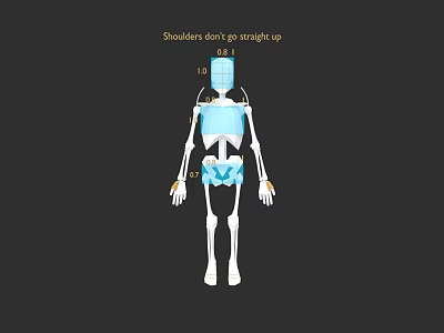 Human Anatomical Limb Structure With Shoulder Posture Not Straight Up 3d model